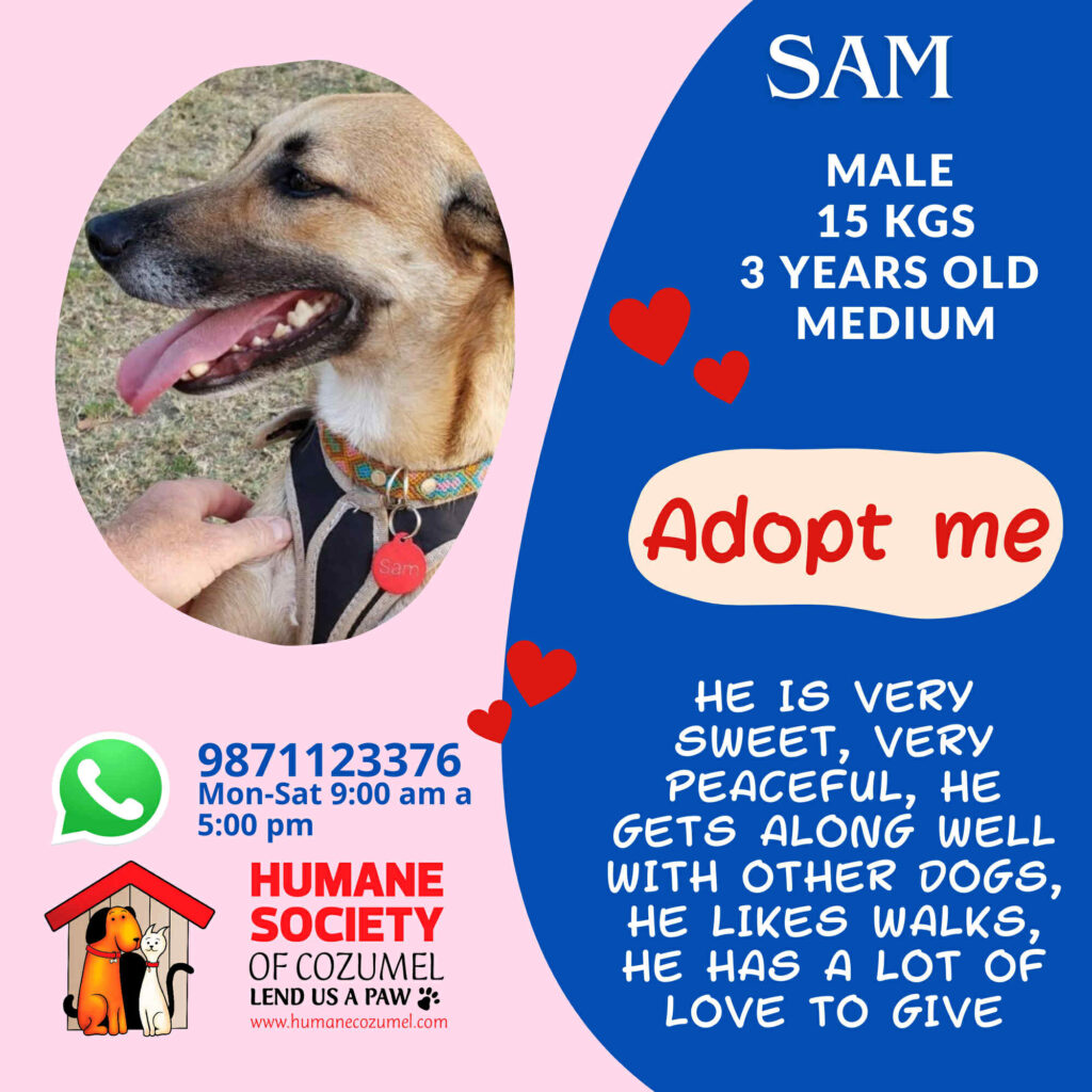 sam