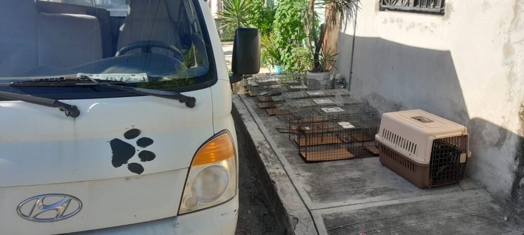 tnr